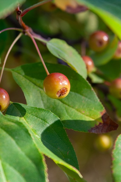 在竞技体育 在竞技体育