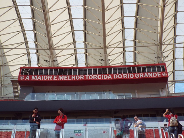 足球世界的 足球世界的