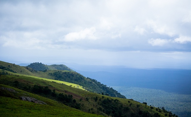 让人联想起 让人联想起